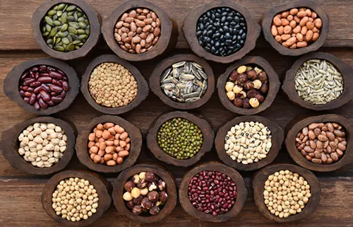 Bakliyat Çeşitleri