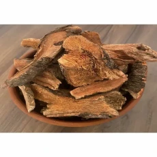 Uçkun (Işkın) Kökü – 1 KG