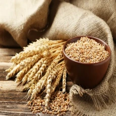 Geleneksel Van Sütlü Buğday - 1 KG