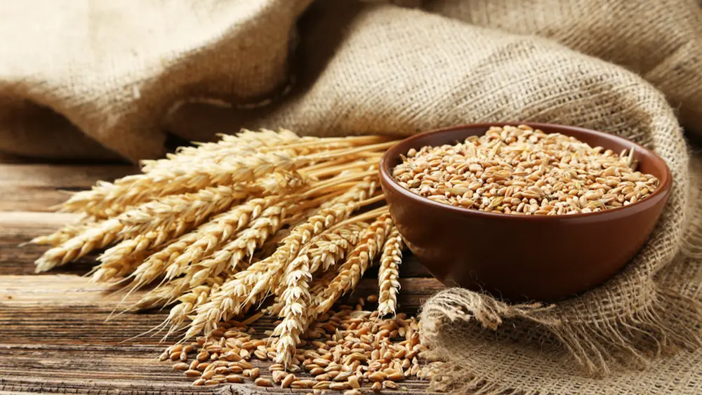 Geleneksel Van Sütlü Buğday - 1 KG